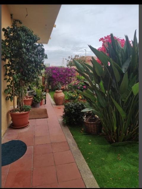 הוילה אולביה Casa Mariangela מראה חיצוני תמונה